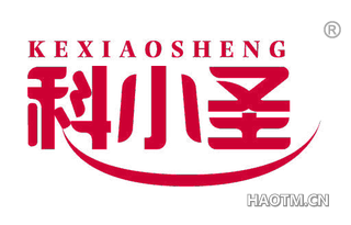 科小圣 KEXIAOSHENG