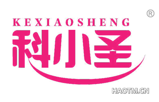 科小圣 KEXIAOSHENG