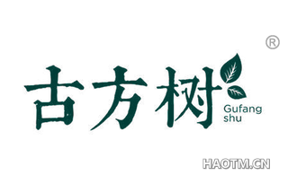 古方树 GUFANG SHU