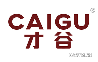 才谷 CAIGU