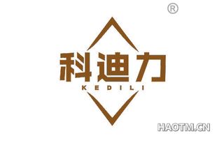 科迪力 KEDILI