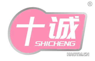 十诚 SHICHENG