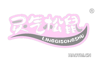 灵气松鼠 LINGQISONGSHU