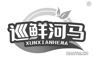 巡鲜河马 XUNXIANHEMA