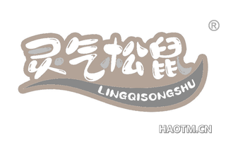 灵气松鼠 LINGQISONGSHU