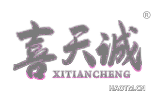 喜天诚 XITIANCHENG