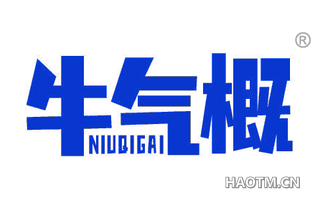 牛气概 NIUQIGAI