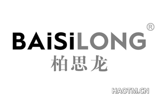 柏思龙 BAISILONG