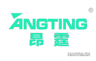 昂霆 ANGTING