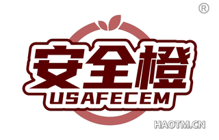 安全橙 USAFECEM