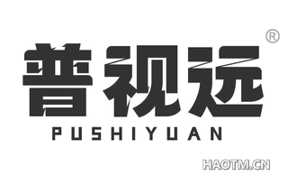 普视远 