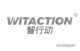 智行动 WITACTION