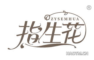 指生花 ZYSEMHUA