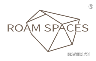 ROAM SPACES