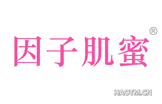 因子肌蜜 