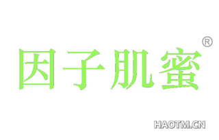 因子肌蜜 