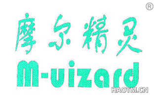 摩尔精灵 M UIZARD