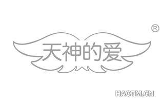 天神的爱 