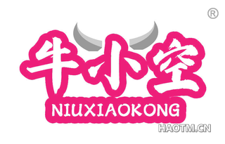牛小空 