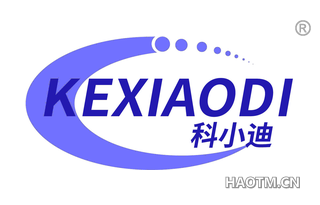 科小迪 