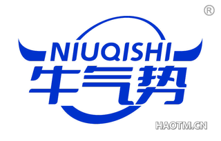 牛气势 NIUQISHI