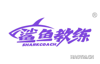 鲨鱼教练 SHARKCOACH