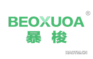 暴梭 BEOXUOA