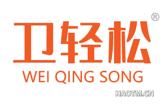 卫轻松 