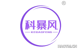 科暴风 