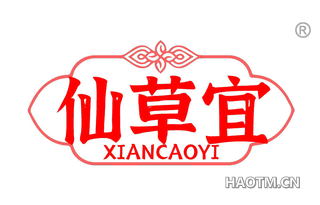 仙草宜 XIANCAOYI