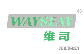 维司 WAYSEAY