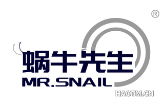 蜗牛先生 MR SNAIL