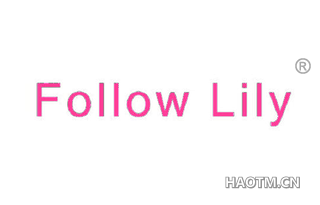  FOLLOW LILY