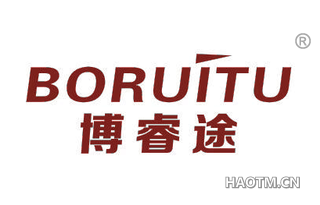 博睿途 BORUITU