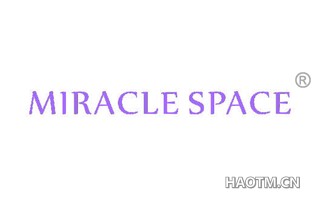  MIRACLE SPACE