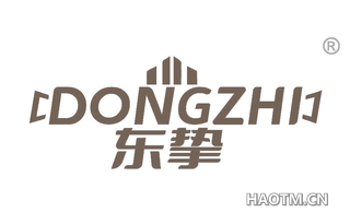 东挚 DONGZHI