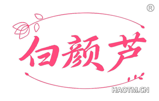 白颜芦 