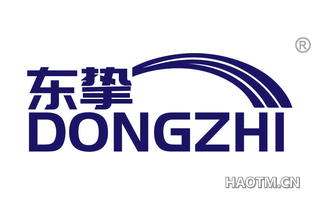 东挚 DONGZHI