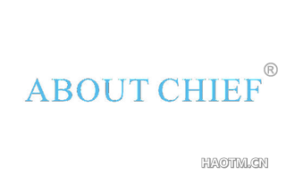  ABOUT CHIEF
