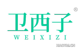 卫西子 WEIXIZI