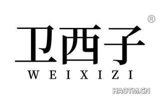 卫西子 WEIXIZI