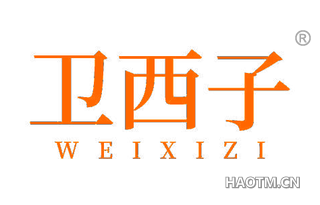 卫西子 WEIXIZI