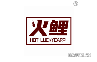 火鲤 HOT LUCKYCARP