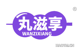 丸滋享 WANZIXIANG