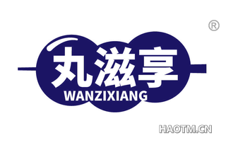 丸滋享 WANZIXIANG