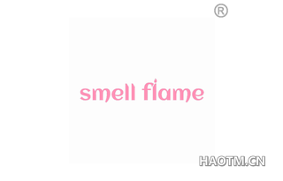  SMELL FLAME