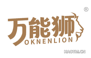 万能狮 OKNENLION