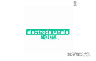 极电鲸 ELECTRODE WHALE