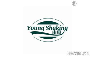 由爽 YOUNG SHAKING