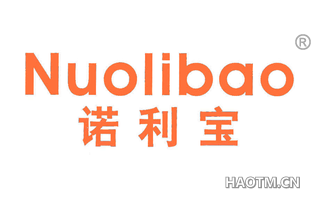 诺利宝 